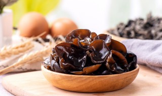 木耳腐竹做法(木耳腐竹做法视频教程)