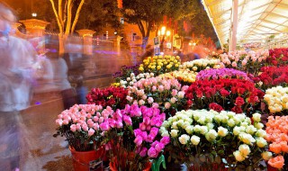 夏天哪些花不能多浇水（夏天养花需要每天浇水吗）