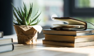 轻於鸿毛名词解释 轻于鸿毛的反义词是什么