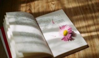 踔厉风发名词解释（严厉的名词解释）