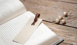 再作冯妇名词解释 冯特名词解释