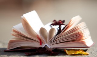 功成不居名词解释（功成不居的解释）