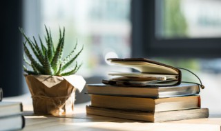 时乖运蹇名词解释 运蹇时乖是什么意思?