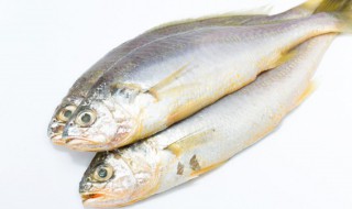 波浪鱼做法（巴浪鱼的做法）