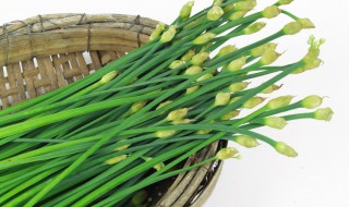 生姜拌韭花做法 生姜拌韭花做法视频