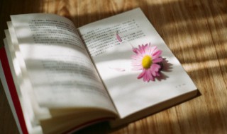 闻过则喜名词解释 闻过则喜的解释