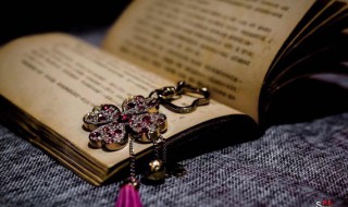 神采焕发名词解释（神采焕发名词解释是什么）