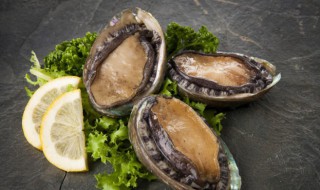 15头鲍鱼什么意思（15头鲍鱼和8头鲍鱼的区别）