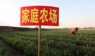 家庭农场模式（家庭农场模式的优势）