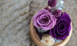 永生花制作液（永生花制作液有毒吗）