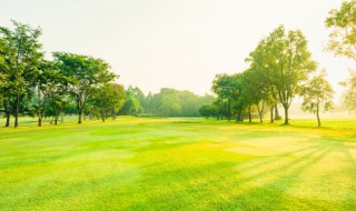 农村三块地具体哪三块 农村三块地具体哪三块土地