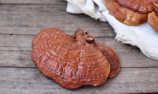 名贵药材有哪些品种（名贵药材有哪些品种名称）