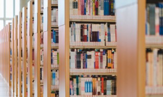 打蛇打七寸的七寸是指什么意思（打蛇打七寸的七寸是指什么位置）