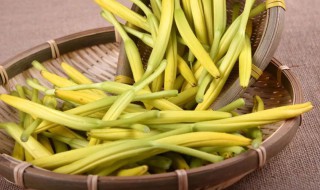 黄花菜的功效和作用有哪些 黄花菜的功效和作用有哪些图片