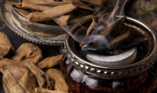 什么是沉香木出自哪里(沉香木是什么木形成的)