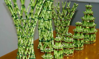 富贵竹可以土养吗?冬季 富贵竹可以土养吗?冬季养护