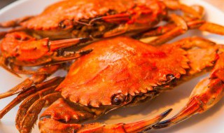 庐江县土特产有哪些 庐江县土特产有哪些品种