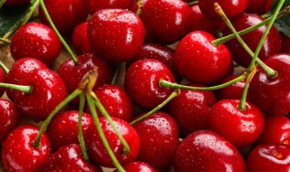 温性和热性水果有哪些 温性和热性水果有哪些?