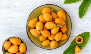 枇杷种子怎么种盆景（枇杷种子怎么种方法）