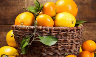 橘子种子怎么种发芽（橘子种子怎么样才能发芽）