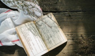 冒天下之大不韪是什么意思 冒天下之大不韪的意思读音