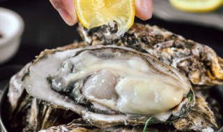 生蚝功效（生蚝功效与作用是什么）