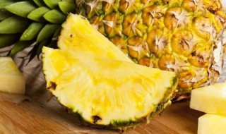 海南水果特产有哪些水果贵一点的（海南的水果特产有哪些价格是多少）