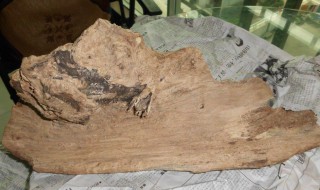 沉香木有哪些用处（沉香木有哪些用处呢）