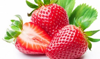 草莓怎么种植盆栽 草莓怎么种植盆栽方法