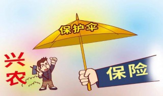 农村三农保险指那些（三农险什么范围有报销）