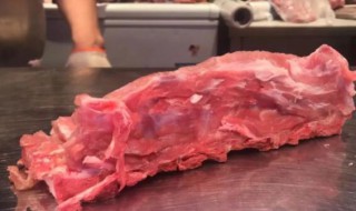 龙骨是什么骨头猪（龙骨是在猪的哪个部位）