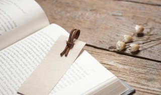 摩顶放踵典故 摩顶放踵典故出自