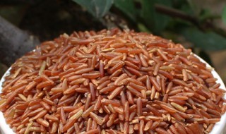 红糙米的功效与作用 红糙米怎么吃