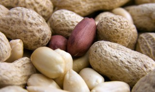 种花生怎么种才能高产 怎样种花生才能高产