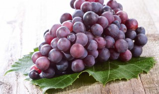 晴王葡萄怎么种植（晴王葡萄怎么种植方法）