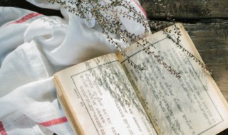 蔓草是什么意思 蔓草什么意思?