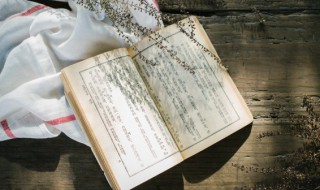 谢太傅是什么意思 咏雪是什么意思