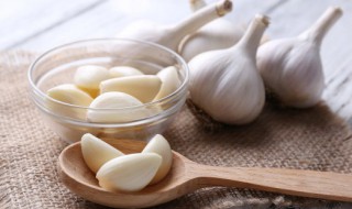 在家怎么种大蒜 怎样在家里种蒜苗