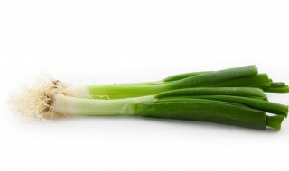 分葱和香葱的区别在哪 分葱和香葱的区别在哪里
