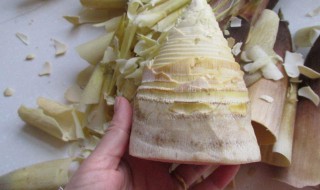 冬笋怎么处理才能吃 冬笋怎样处理好吃