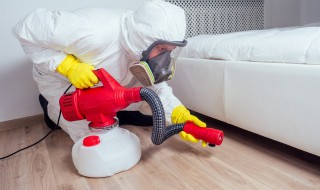 灭跳蚤最有效的方法敌敌畏（敌杀死 跳蚤）