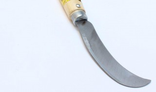 菠萝刀怎么用(菠萝刀怎么用视频)