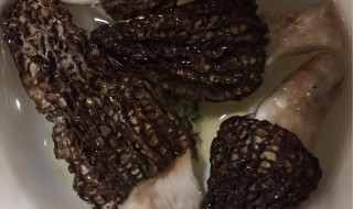 干羊肚菌怎么泡发洗净 美味的干羊肚菌如何泡发?怎么吃?