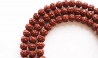 八瓣金刚菩提子怎么盘红 八瓣金刚菩提怎么包浆