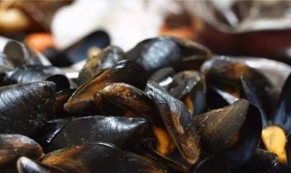 淡菜怎么清洗里面? 淡菜怎么清洗里面的水