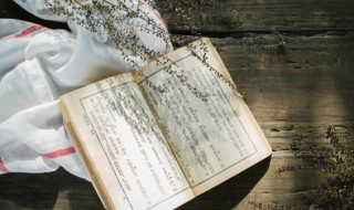 鸡飞狗跳的词语意思 鸡飞狗跳的词语意思是