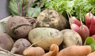 适合在农村创业的项目有哪些（最适合在农村创业的项目）