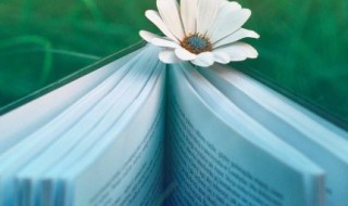 班门弄斧的成语故事内容 班门弄斧的成语故事内容是什么