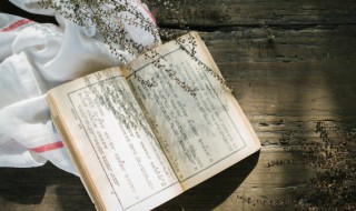 大逆不道的历史成语故事精读(大逆不道的历史成语故事精读视频)