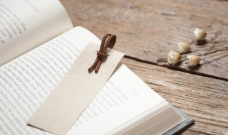 百丈竿头经典成语故事 百丈竿什么成语